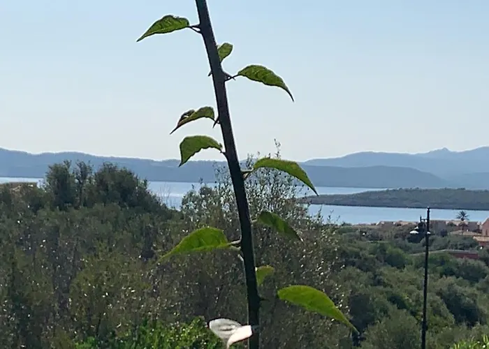 Casa Adelaide, Oasi Di Pace Con Vista Mare *